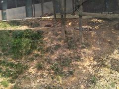 -泉州海丝野生动物世界