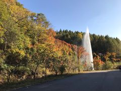 -天女山森林公园