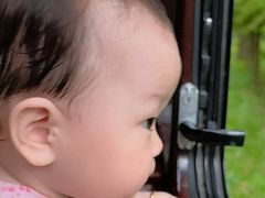 -合肥滨湖国家森林公园