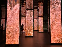 -中国湿地博物馆