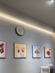 点击看大图 -洗脸猫·洗脸吧