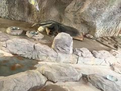 -深圳野生动物园