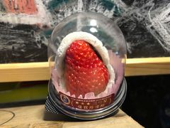 -浅草莓座(あさくさいちござ)