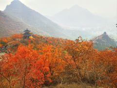 -狼牙山风景区