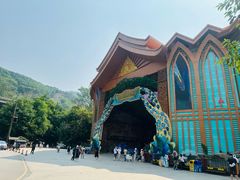 -西双版纳原始森林公园