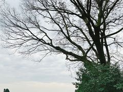 -宁波市保国寺古建筑博物馆