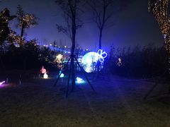 -飞凤山奥体公园