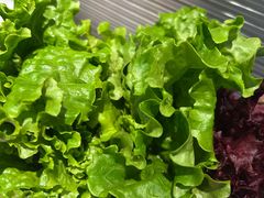 -炭之家齐齐哈尔大片烤肉·涮毛肚火锅·齐齐哈尔烤肉(中央大街店)