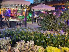 -山菌美食苑(振兴路店)