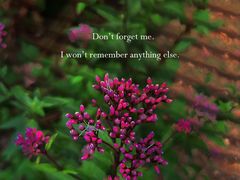 -上海滨江森林公园