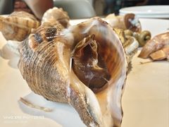 -海味当家·蒸锅海鲜(星海公园店)