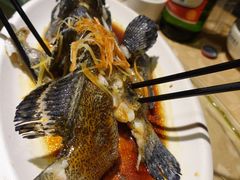 清蒸石斑鱼(1斤)-Sasa的海(蜈支洲岛后海店)