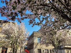 -天津五大道文化旅游区