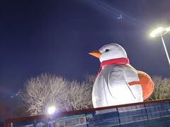 -哈尔滨极地公园