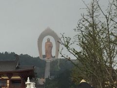 iphone_upload_pic-东林大佛