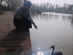 -盐城丹顶鹤湿地生态旅游区