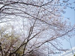 -杨高南路(地铁站)