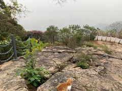 -广州市白云山风景名胜区