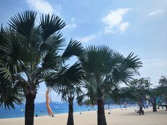 -大梅沙海滨公园