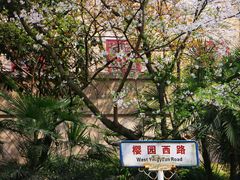 -武汉大学-樱园