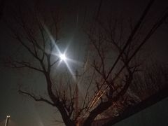-南城十里潮汕鲜牛火锅·鲜虾生滚粥(融汇老商埠店)