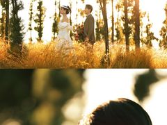 -苹果摄影(顺德华侨城店)