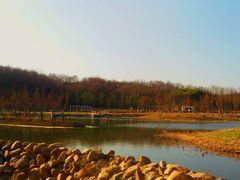 -佛手湖郊野公园
