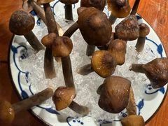 鸡枞菌-和院老火锅铜锅烧烤海鲜(朱雀大街店)