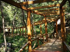 -大岭沟猕猴桃谷风景区