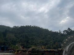 -西双版纳原始森林公园