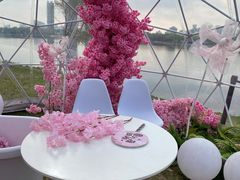 -长白岛森林公园