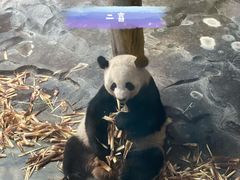 -济南野生动物世界