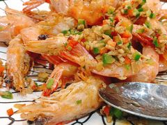 -外滩1288花园丽舍