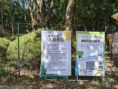 -金鸡湖桃花岛