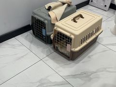 -艾吉宠物医院·疑难杂症转诊中心·猫友好(碧江路院)
