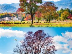 -塔川景区