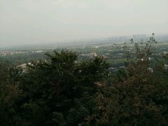 -上海佘山国家森林公园西佘山园