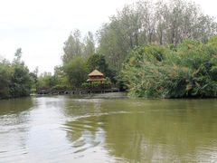 -溱湖国家湿地公园