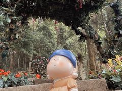 -广州市石门国家森林公园
