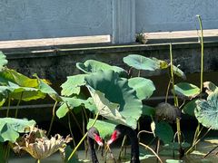 -东钱湖小普陀景区