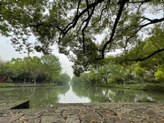 -西溪国家湿地公园