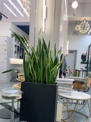 -FUTURE HN男士发型风格设计