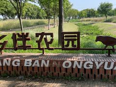 -祝甸砖窑文化馆