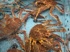 -渔傅·霞浦滩涂海鲜(建平店)