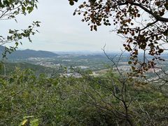 -北京西山国家森林公园