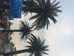 上海玛雅水公园-上海玛雅海滩水公园