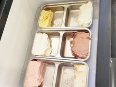 -野人先生Gelato(上海长宁龙之梦店)