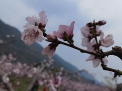 -青林口古镇