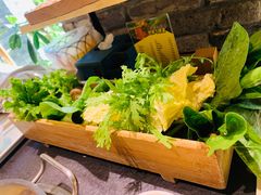-蓉客成都火锅·招牌麻辣牛杂·特色香辣蹄花(凌水店)