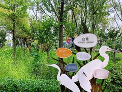 内部环境-鸽子窝公园